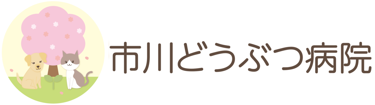 市川どうぶつ病院