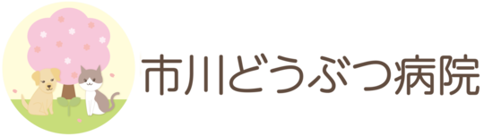 市川どうぶつ病院